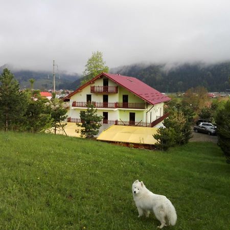 Grandemi Belvedere Bucovina Frasin Экстерьер фото