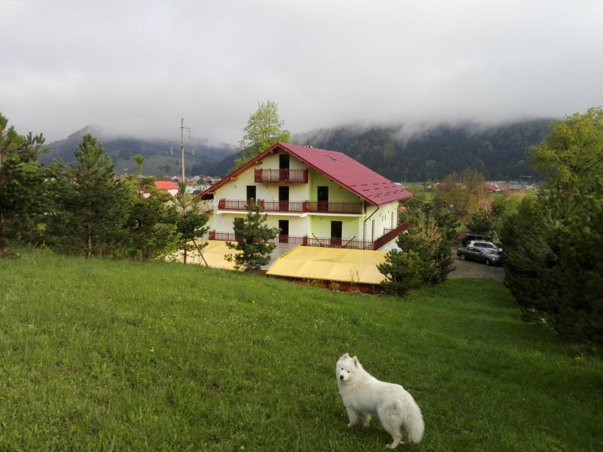 Grandemi Belvedere Bucovina Frasin Экстерьер фото