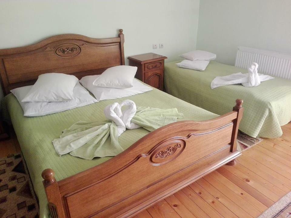 Grandemi Belvedere Bucovina Frasin Экстерьер фото